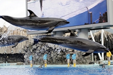 名古屋港水族館