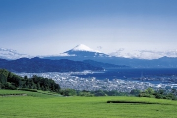 日本平